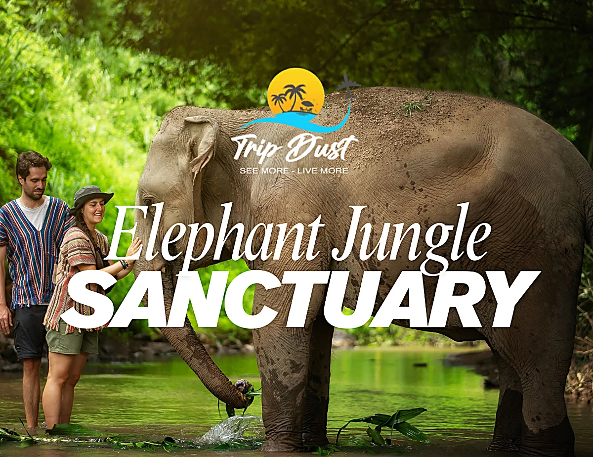 Elephant Jungle Sanctuary