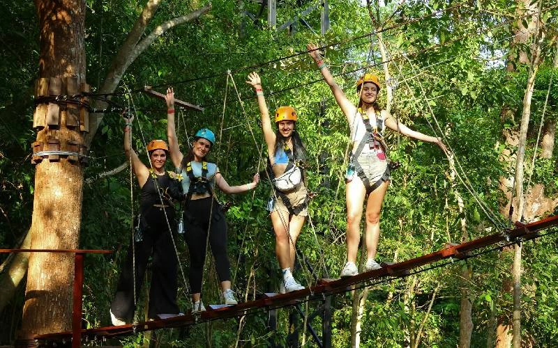 Sky bridge and treetop platform at Flying Hanuman