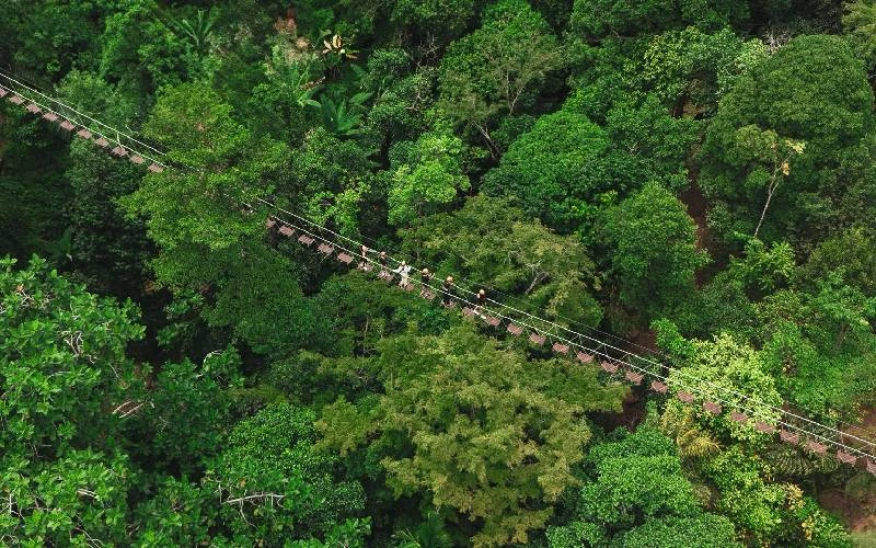 Adventurer on a zipline at Flying Hanuman, Kathu Phuket