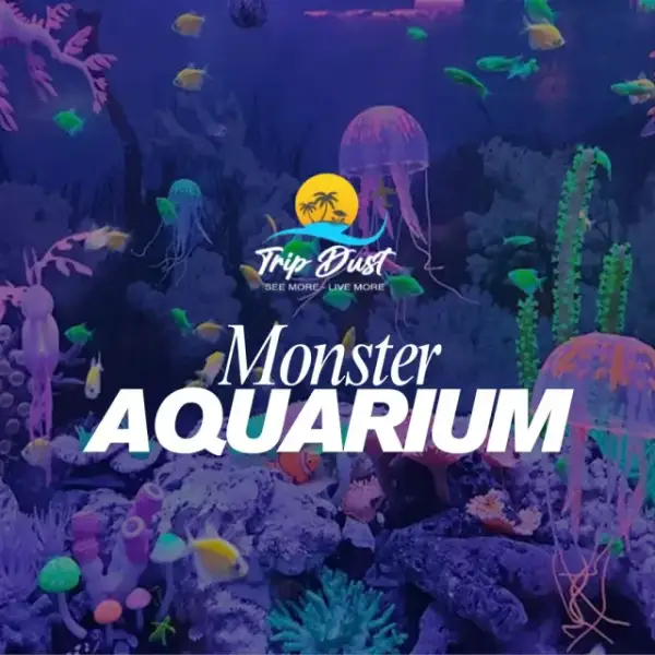 Monster Aquarium Pattaya