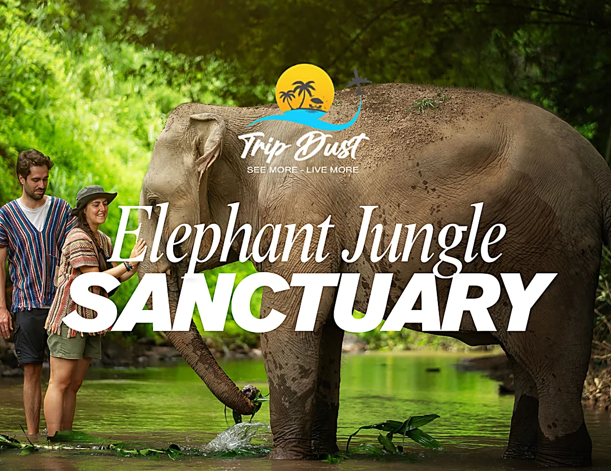 Phuket Elephant Jungle Sanctuary