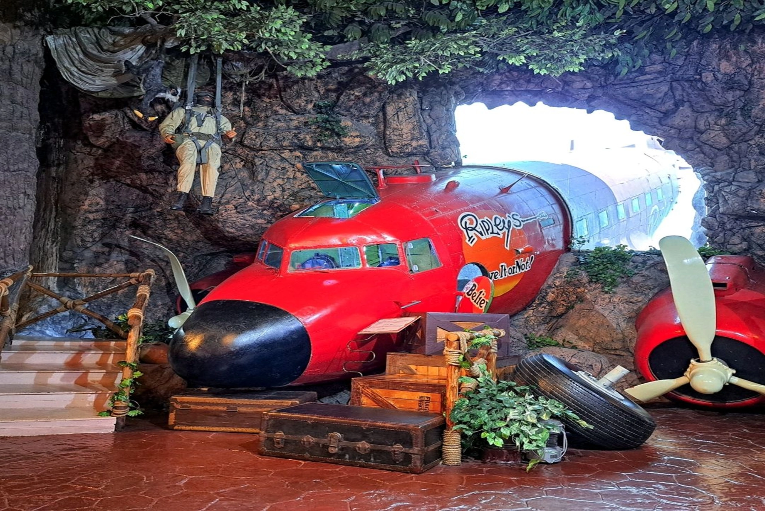 Ripleys Odditorium exhibit