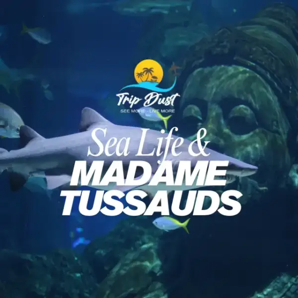Sea Life And Madame Tussauds
