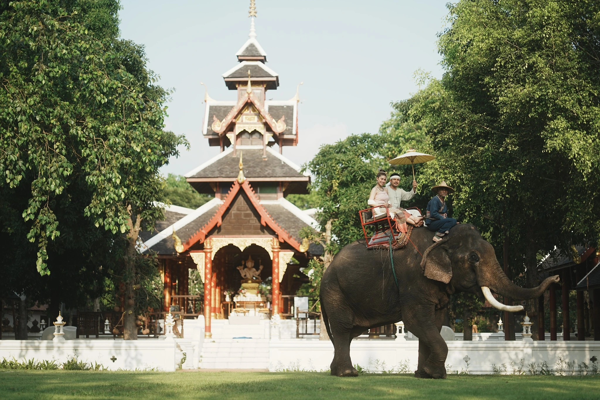 Resident elephant at Thai Thani Cultural Village in Pattaya
