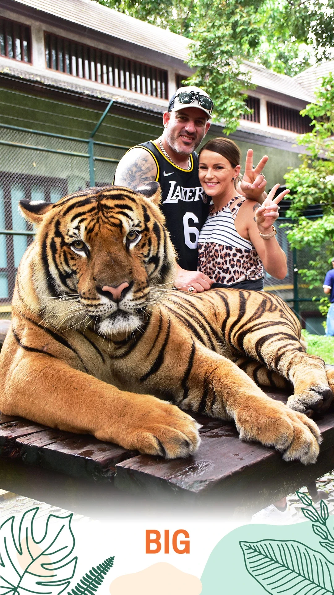 Guests posing beside a Big tiger at Tiger Kingdom Phuket