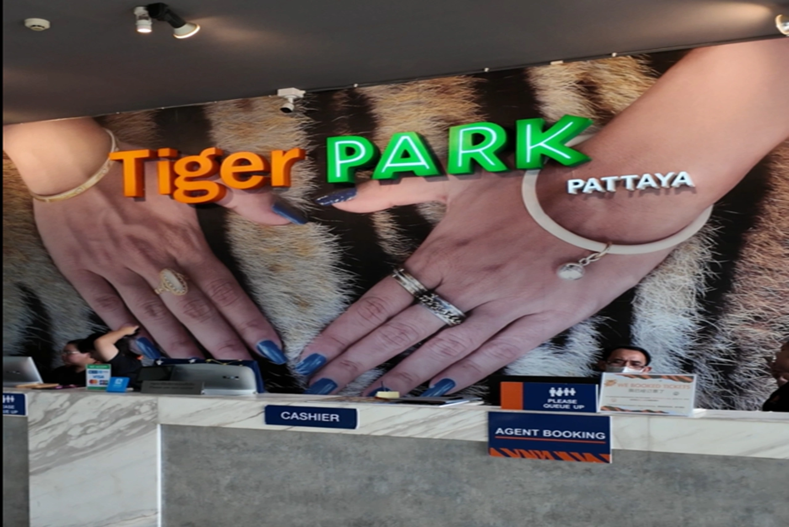 Tiger Park enclosure and visitor photo session